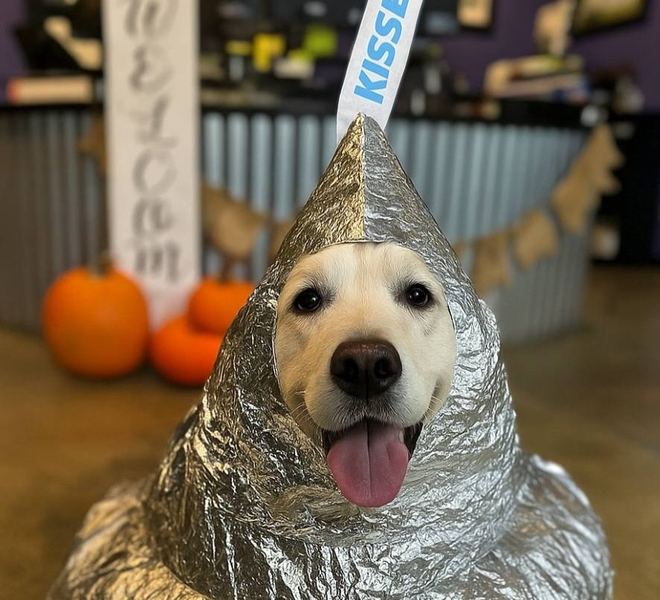Happy Halloween